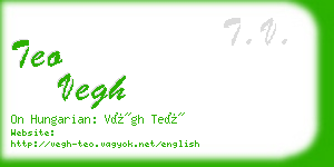 teo vegh business card